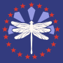 leyorkflag.png